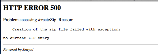 Server exception error screenshot